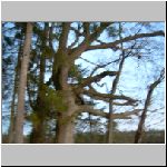 Kanclir  3.12.2008 16-24-47.JPG